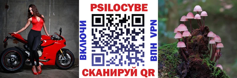 купить  сайты  Альметьевск  Галлюциногенные грибы Psilocybine cubensis 